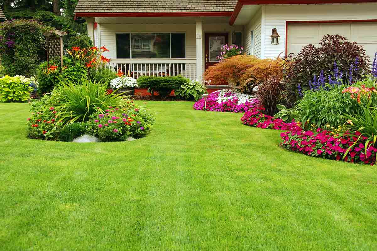 Important Things to Consider When Choosing a Landscaping Company in Singapore