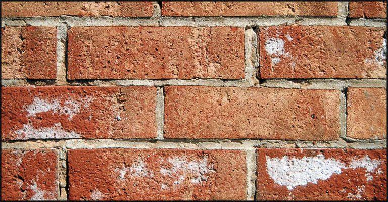 efflorescence-HR