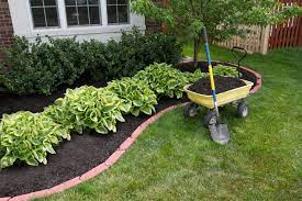 All You Need To Know About Mulching For Garden
