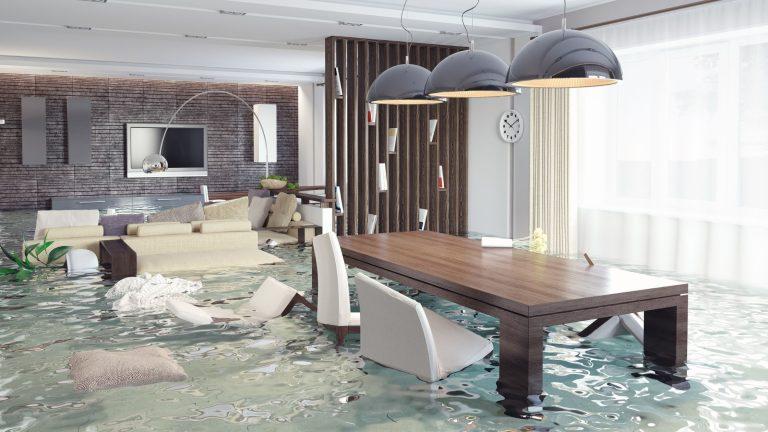 The Crucial Role of Water Restoration Services