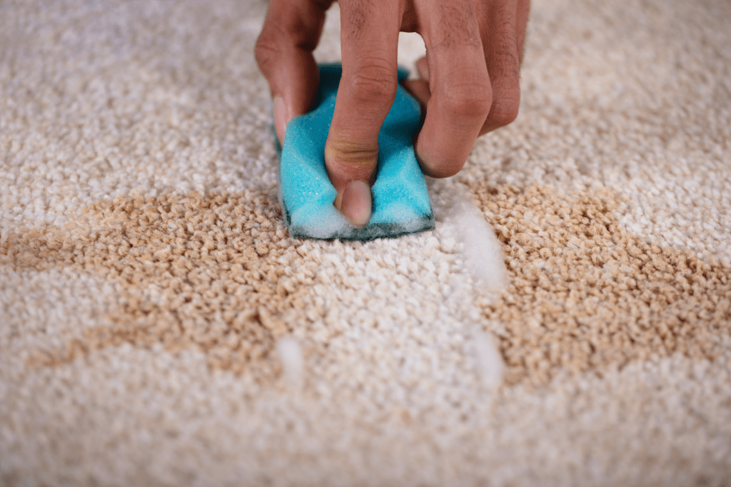 How Often Should You Clean Your Carpets?