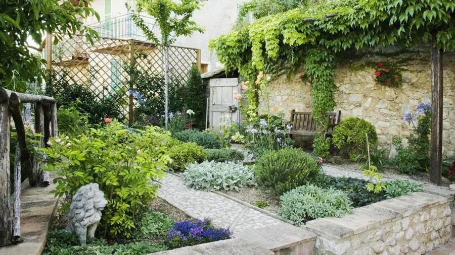 Landscaping Maintenance 101: Keeping Your Outdoor Space Pristine