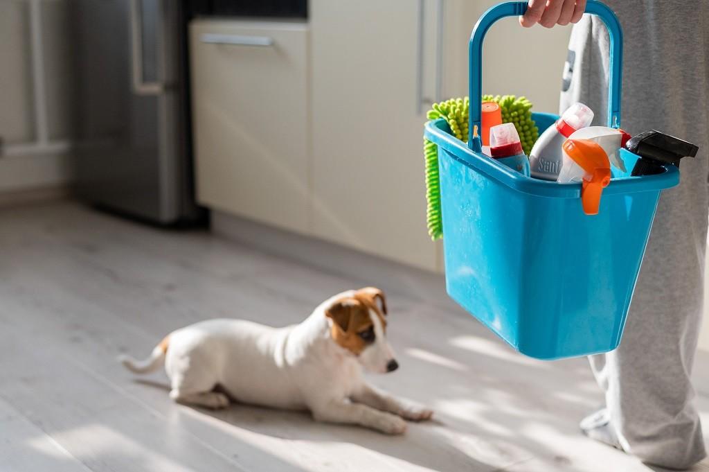 Why You Need To Change The Way You Clean With Pets At Home