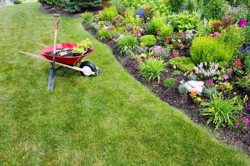 Landscaping Tips to Keep Pests Away in Phoenix