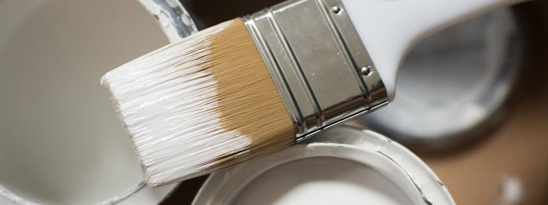 Five Essential Questions to Ask Before Hiring a Painter for Your Business
