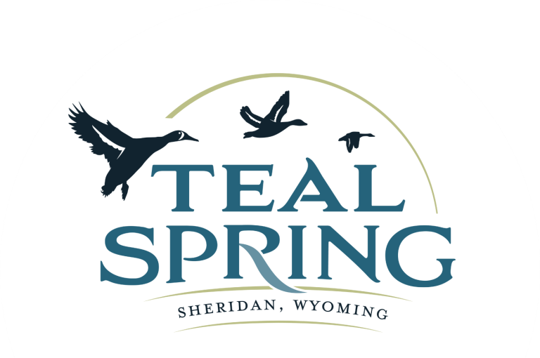 Discover Teal Spring A Premier Real Estate Option in Sheridan, Wyoming