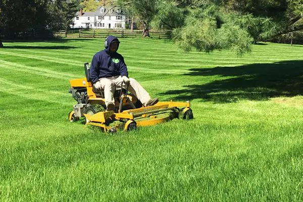 lawn care 