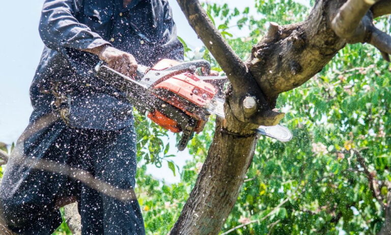 Tree Trimming