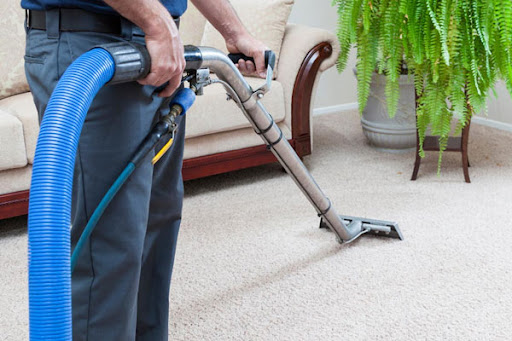  Professional Carpet Cleaning