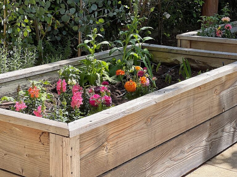 6 Creative DIY Raised Garden Bed Ideas